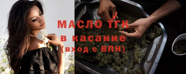 spice Богородицк