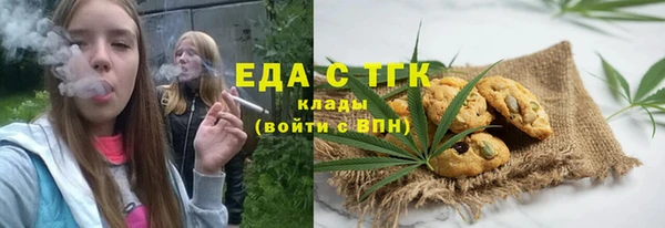 дмт Богданович