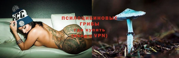 spice Богородицк