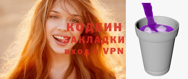 spice Богородицк