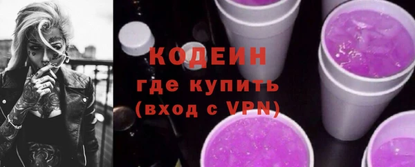 дмт Богданович