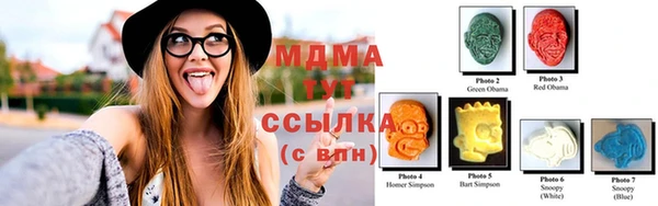 дмт Богданович