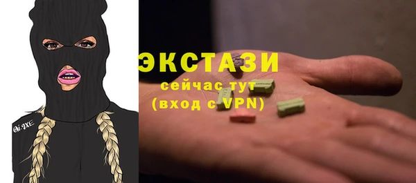 spice Богородицк