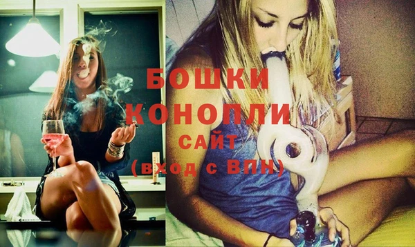 дмт Богданович