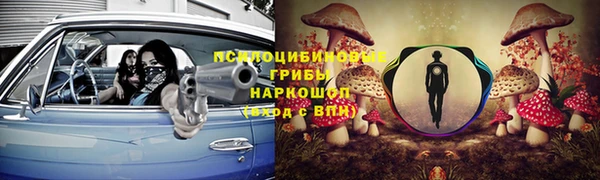 apvp Богородск