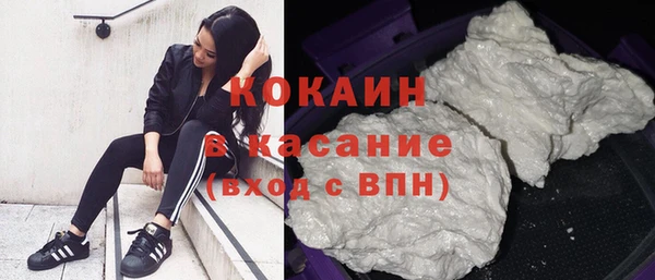 spice Богородицк